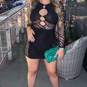 Fashion Nova mesh mini dress